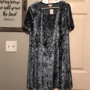 Velvet POL dress
